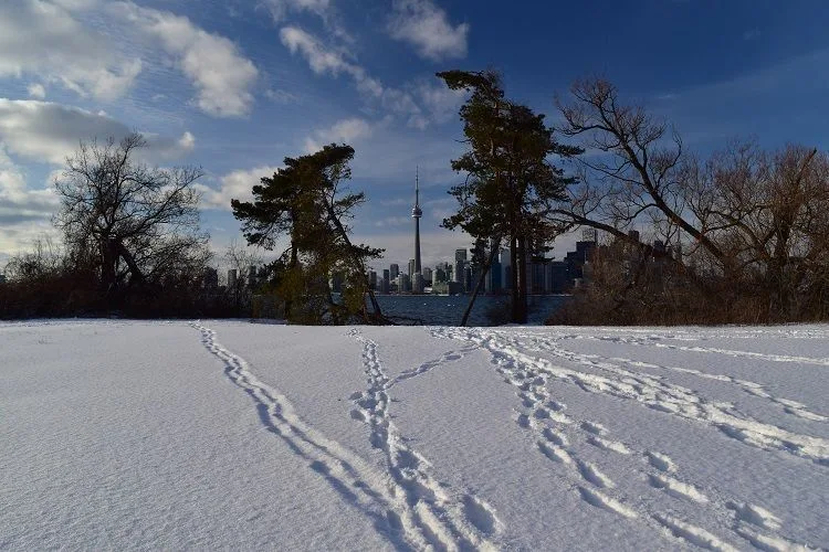 Foto de Downtown Toronto desde las islas un día muy frío de invierno.