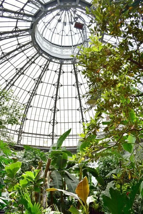 Allan gardens
