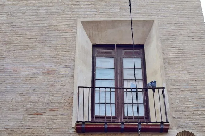 En Zaragoza todo es amor!