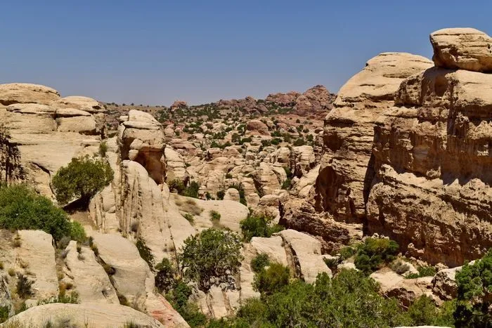Formaciones rocosas bien raras en la ruta de Shak Al Resh. Reserva de la Biosfera de Dana, Jordania