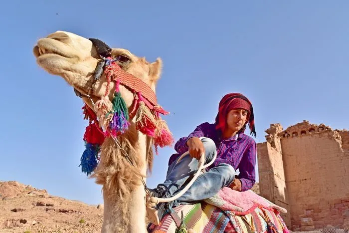 El domador de camellos de Petra.