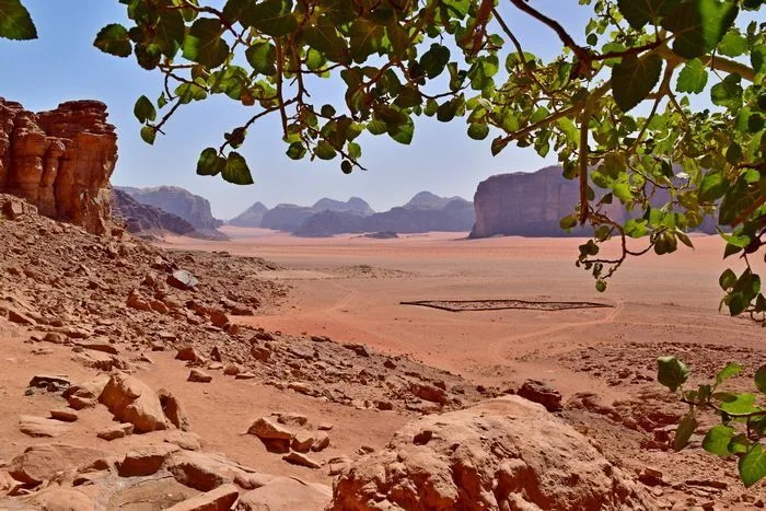 Manantial en el desierto de Wadi Rum con vistas al cementerio beduino.