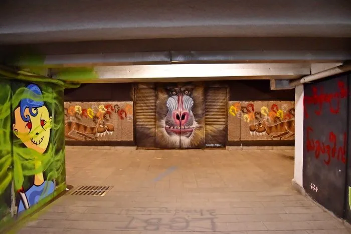 Grafittis chulis