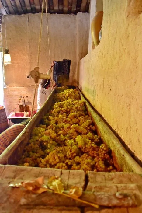El satsnakheli lleno de uvas