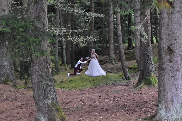Fotos de boda en medio del bosque