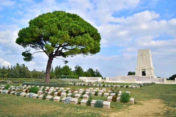 Lone pine