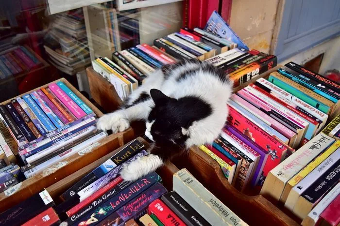 Librería en el barrio de Kadıköy