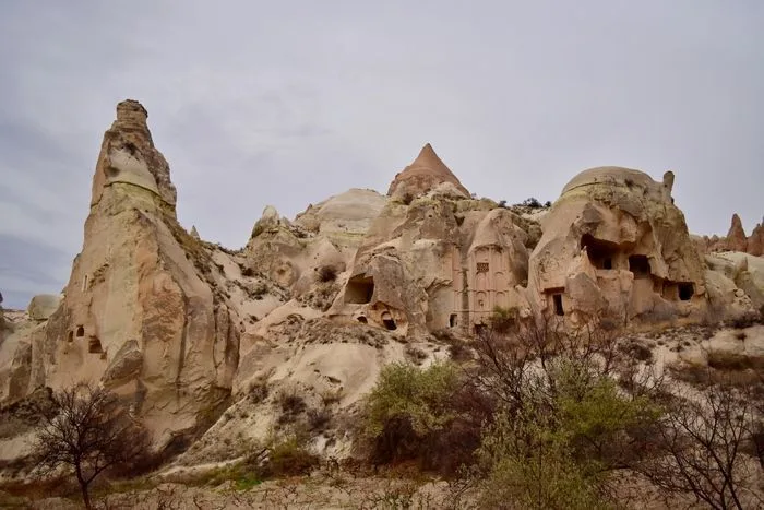 Rose valley