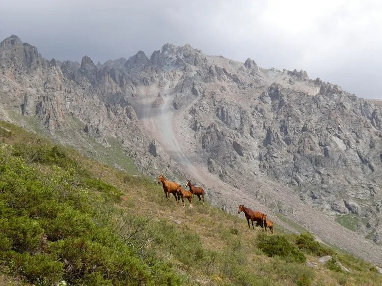 Parque nacional de Ala Archa