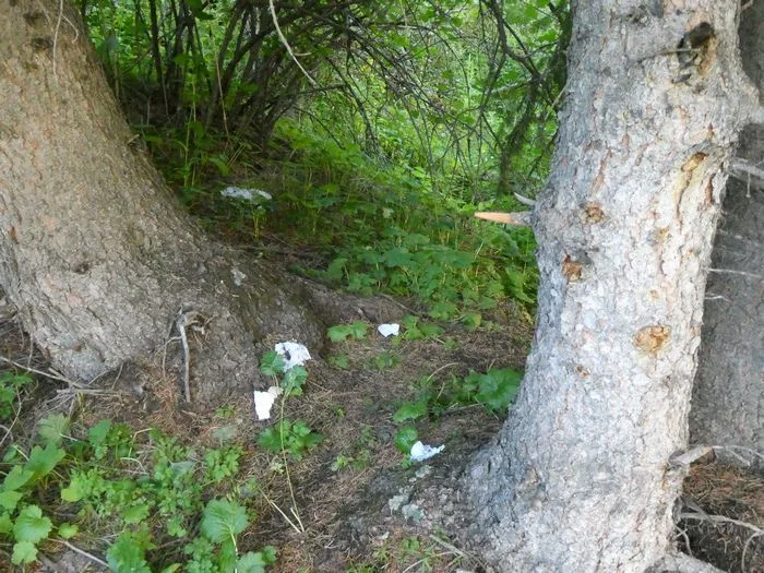 Basura en la subida al lago Ala Kul