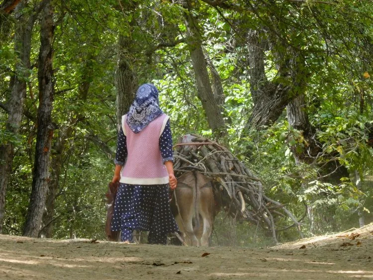 Mujer recogiendo leña en el bosque de nogales de Arslanbob