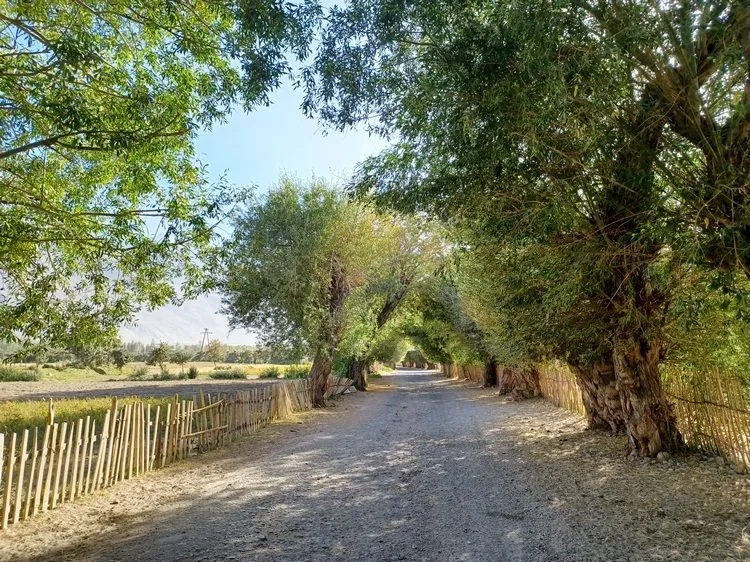 Carretera entre pueblos del valle de Wakhan
