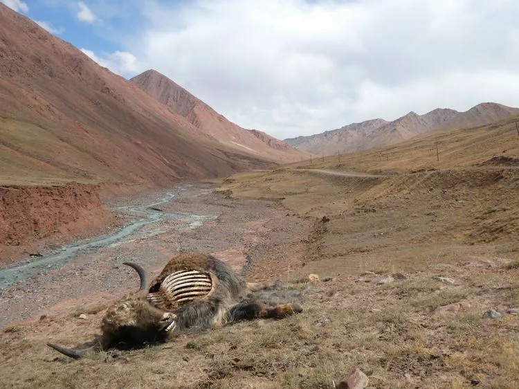 En tierra de nadie entre Kirguistán y Tayikistán