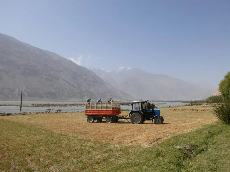Locales recogiendo la cosecha de cereales en el valle de Wakhan
