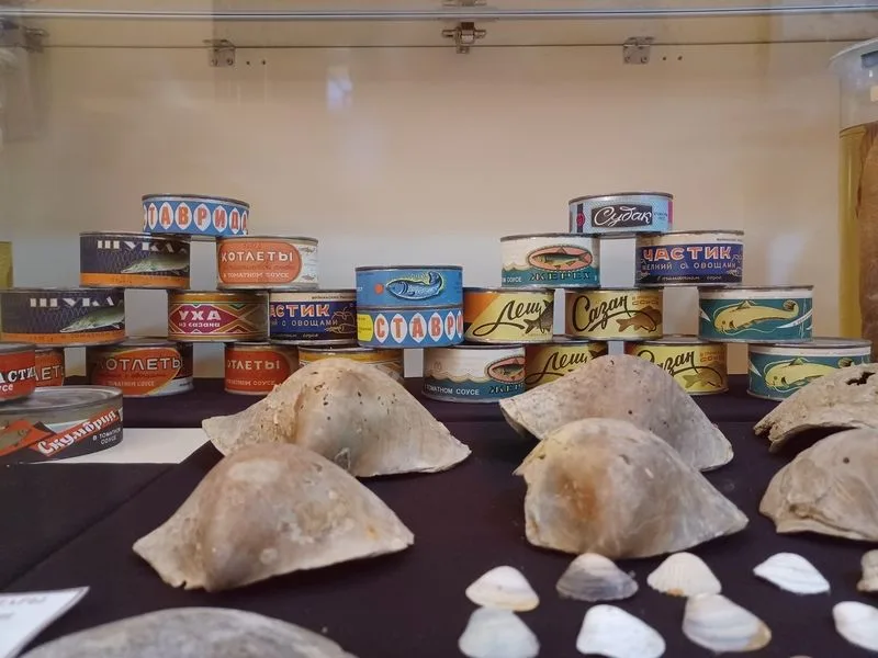 Latas de pescado en conserva en el museo del mar de Aral en Moynaq