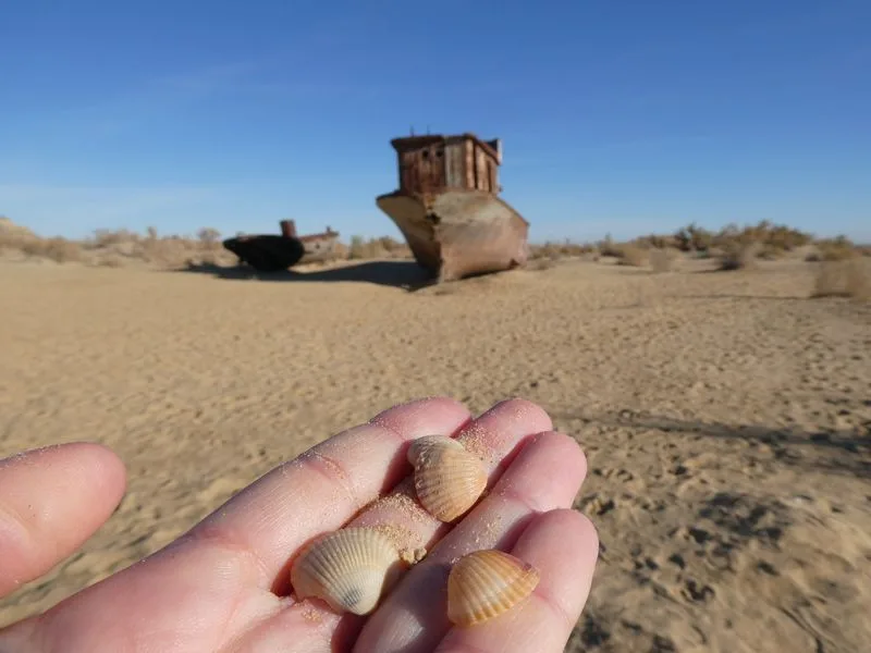 Conchas en el fondo marino del mar de Aral